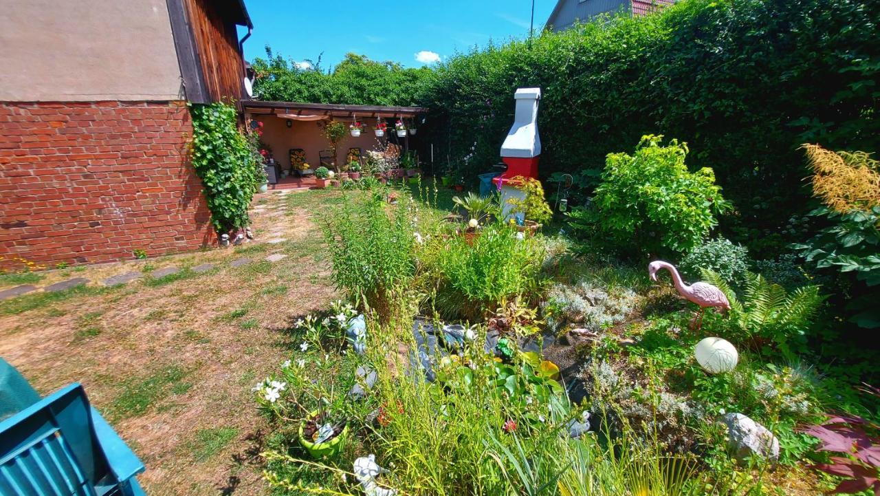 Rummy'S Ferienwohnung Mit Garten Wernigerode Exteriör bild